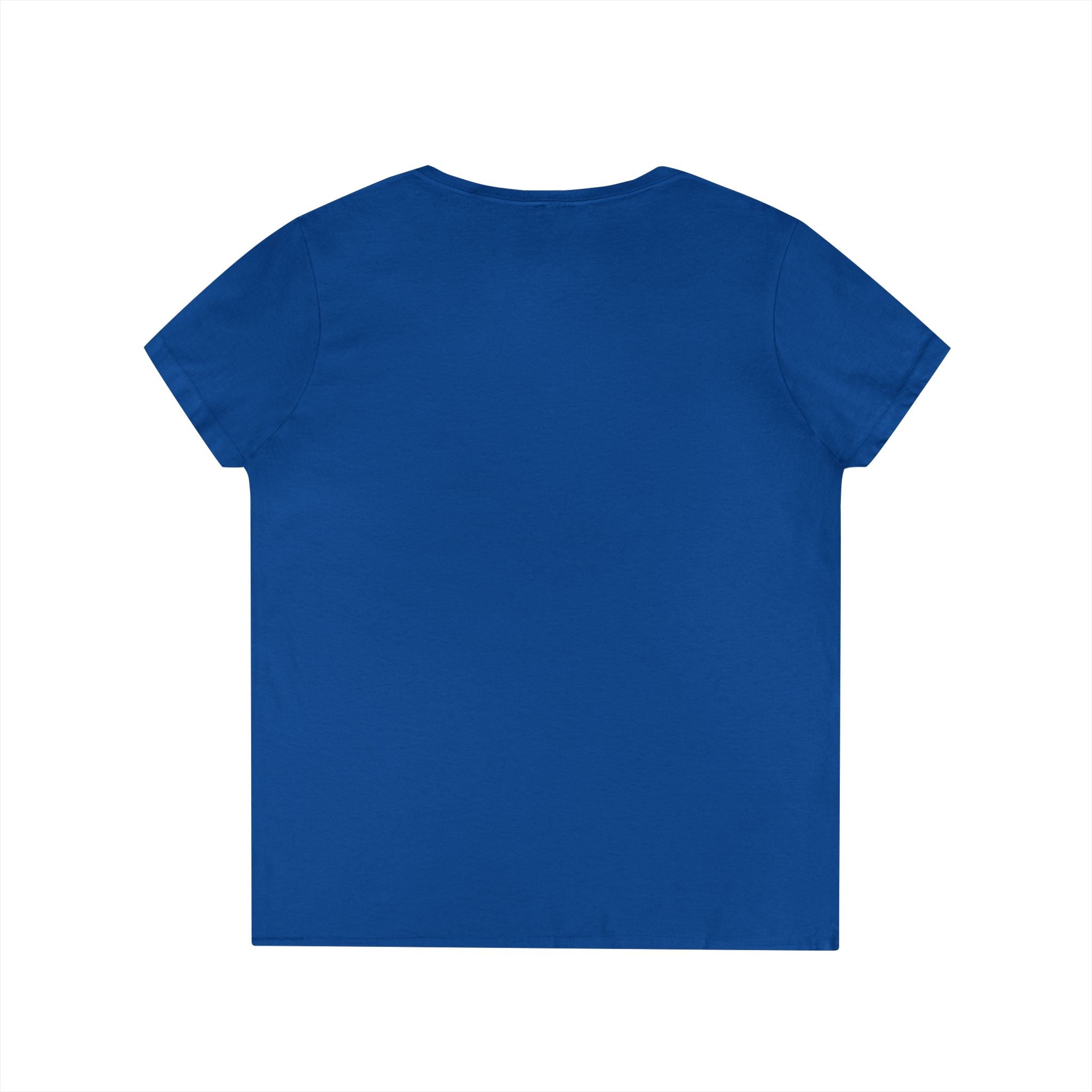 River Life Ladies V-Neck Tee —The Keene for Her